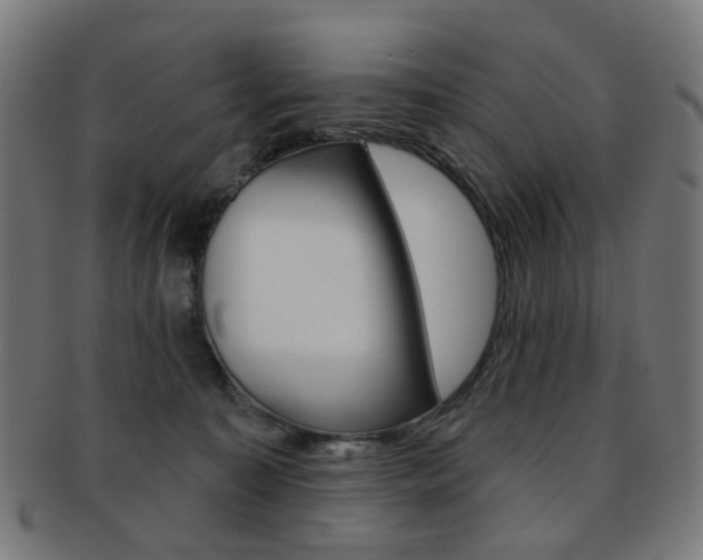 X0000092030323200709061356