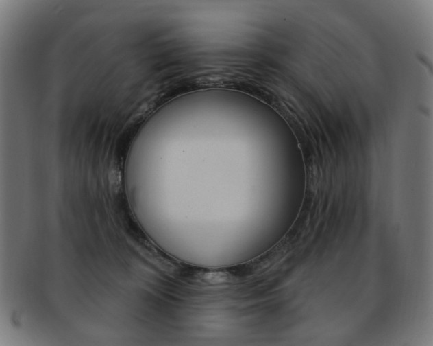 X0000092030324200709061356