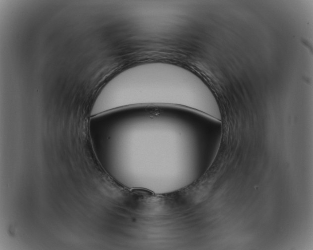 X0000092030325200709061356