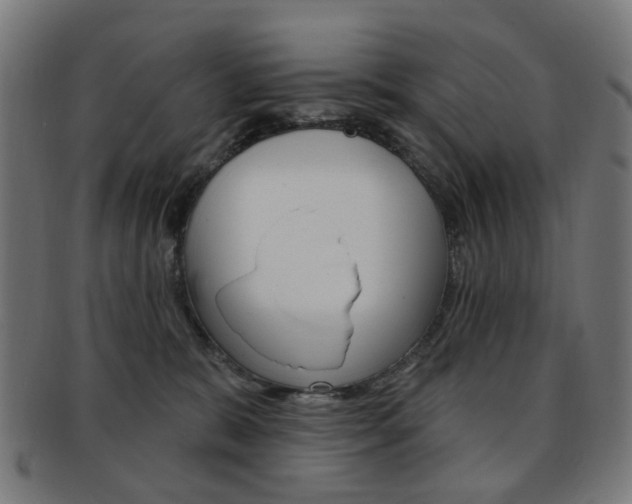 X0000092030327200709061356