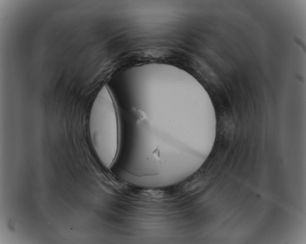 X0000092030328200709061356