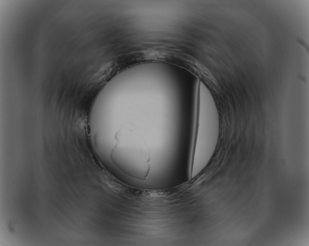 X0000092030329200709061356