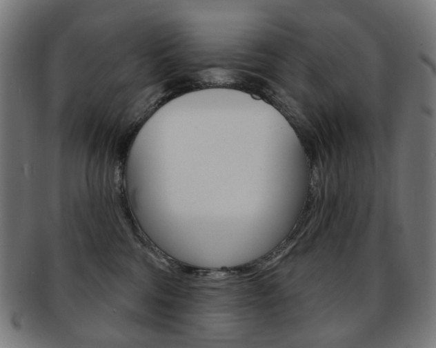 X0000092030330200709061356
