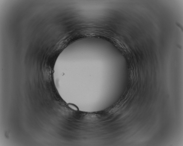 X0000092030332200709061356
