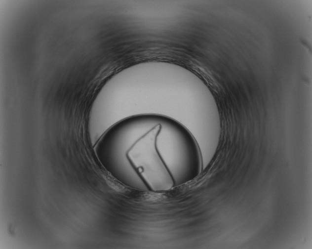 X0000092030333200709061356
