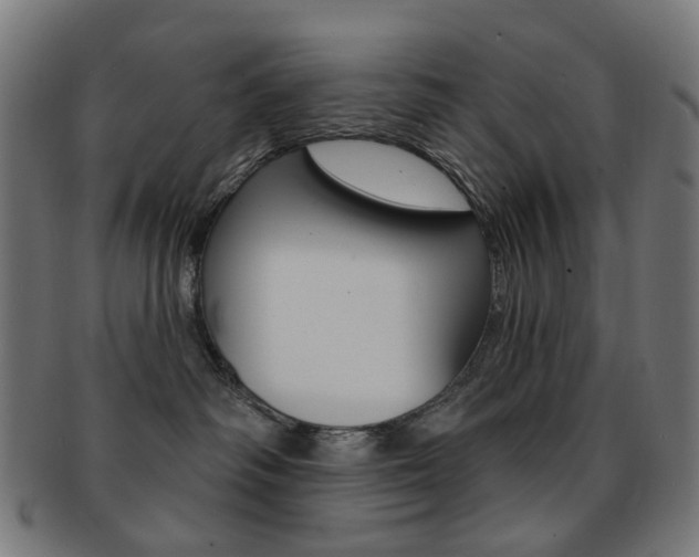 X0000092030334200709061356