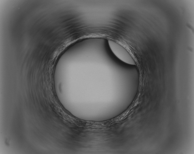 X0000092030337200709061355