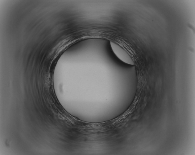 X0000092030338200709061355
