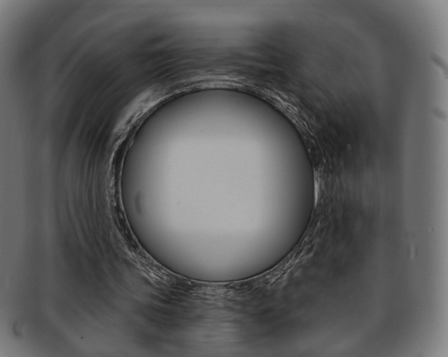 X0000092030339200709061355