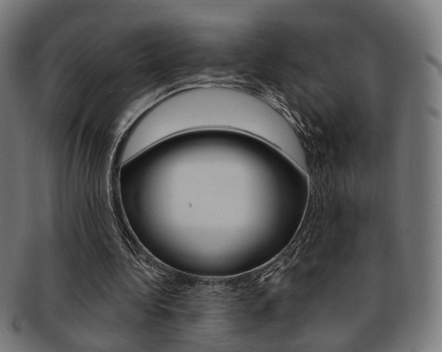 X0000092030340200709061355