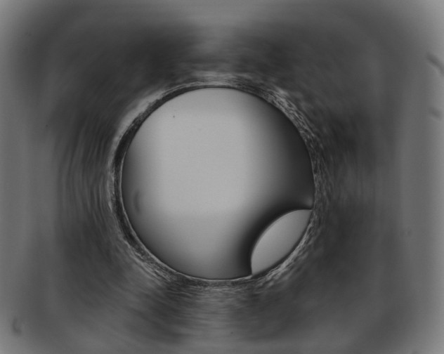 X0000092030342200709061355