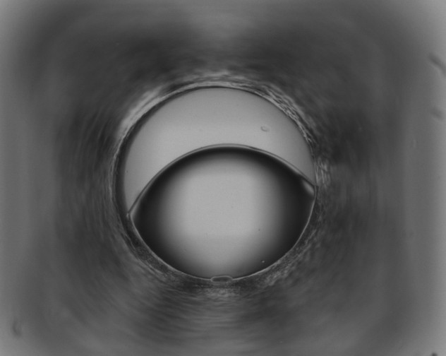 X0000092030344200709061355