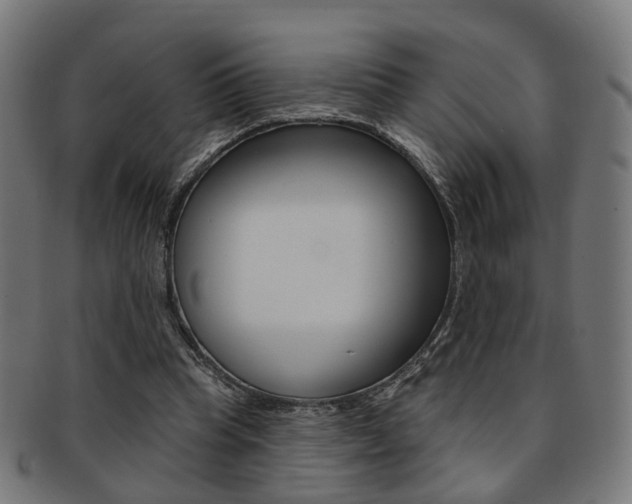 X0000092030345200709061355