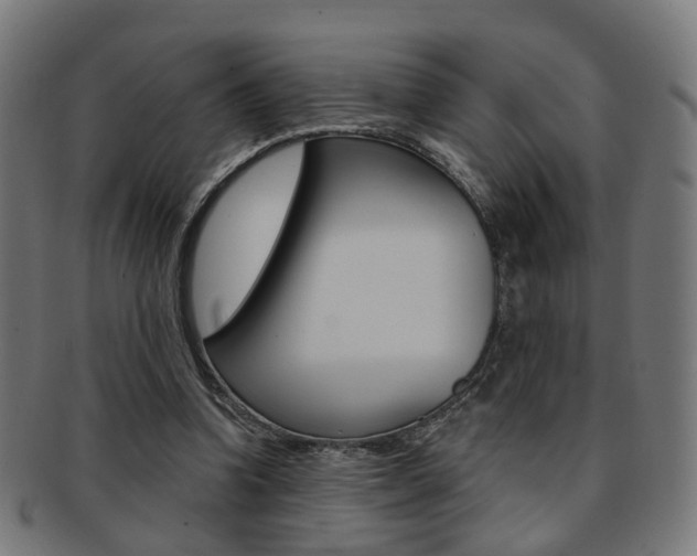 X0000092030346200709061355