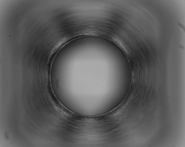 X0000092030349200709061355