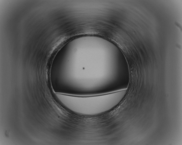 X0000092030350200709061355