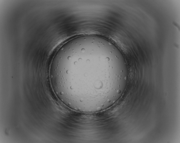 X0000092030351200709061355