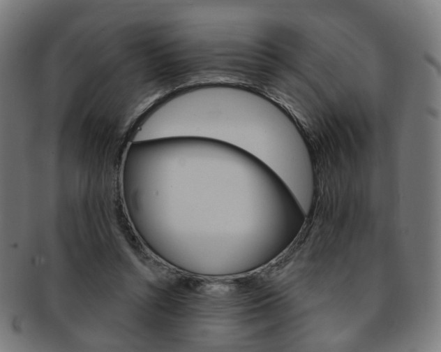 X0000092030352200709061355