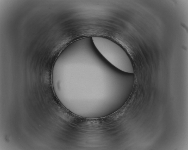 X0000092030353200709061355