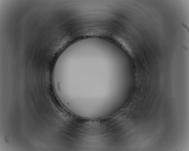 X0000092030354200709061355