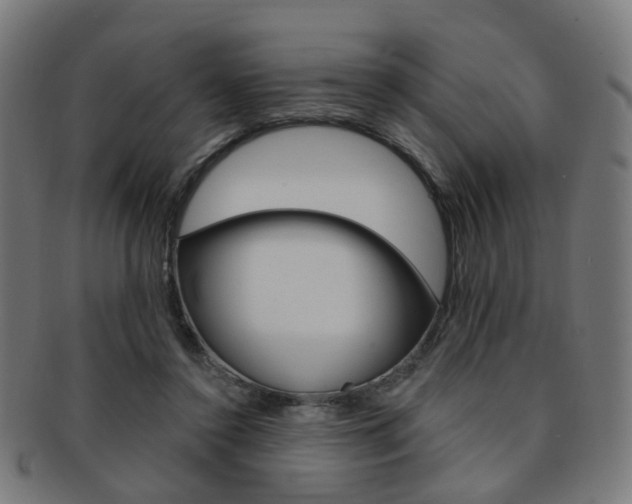 X0000092030356200709061355