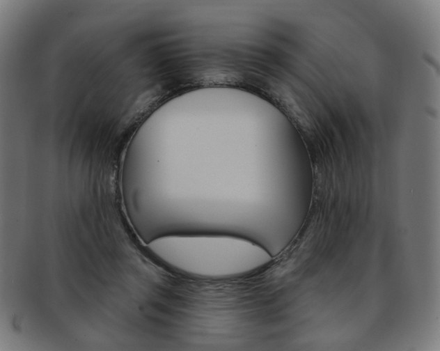 X0000092030357200709061355