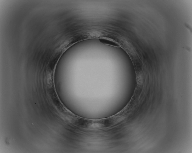 X0000092030360200709061356