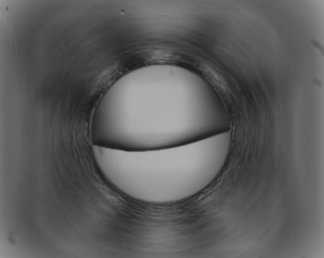 X0000092030361200709061356