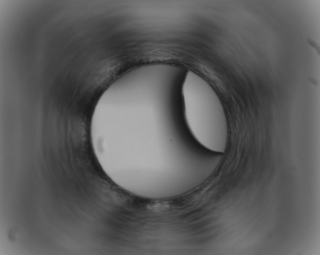 X0000092030362200709061356