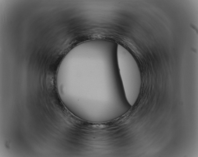 X0000092030363200709061356