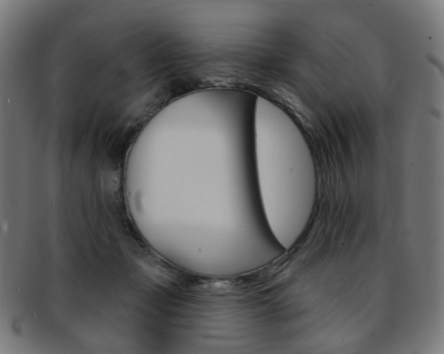 X0000092030365200709061356