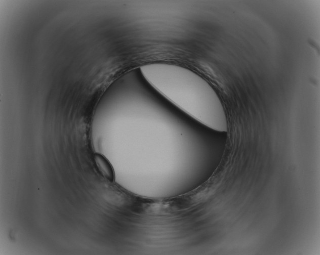 X0000092030366200709061356