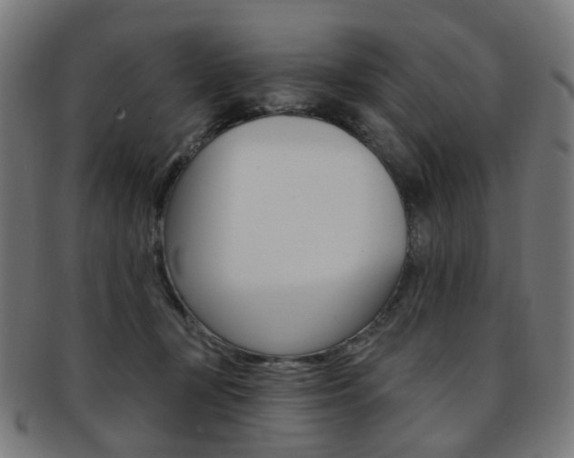 X0000092030367200709061356