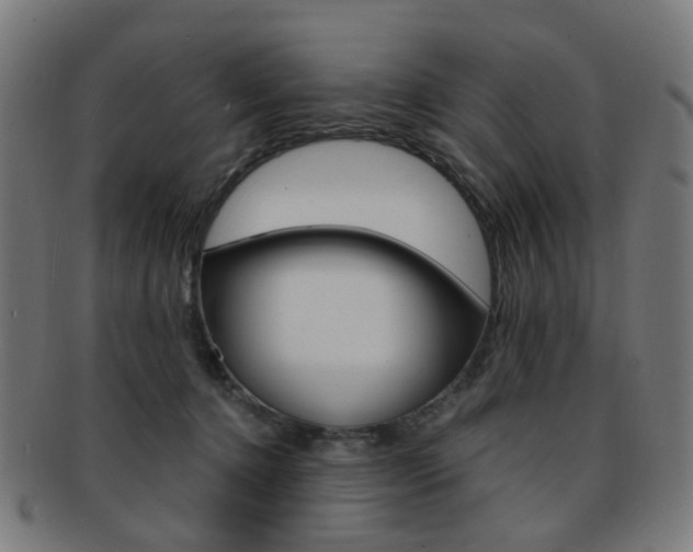 X0000092030368200709061356