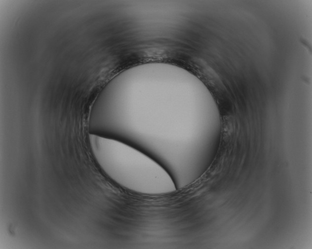 X0000092030369200709061356