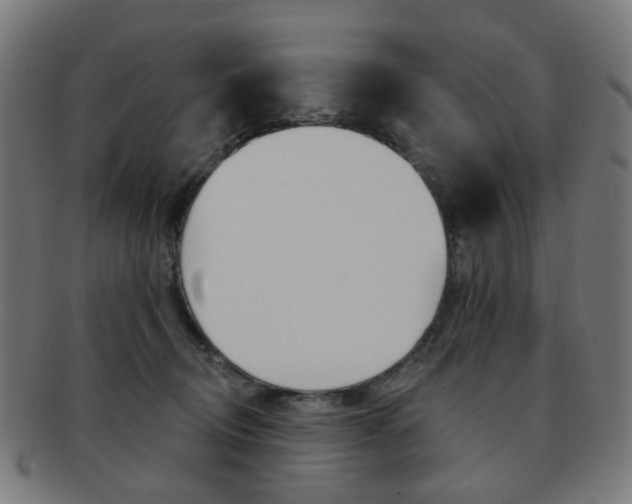 X0000092030370200709061356