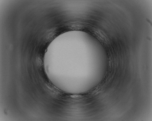 X0000092030371200709061356