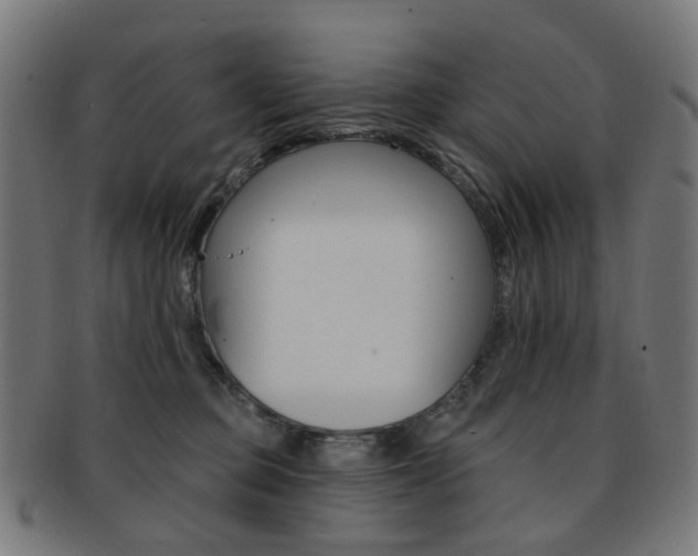 X0000092030373200709061356