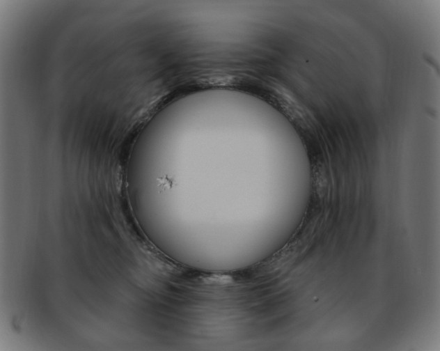 X0000092030374200709061356