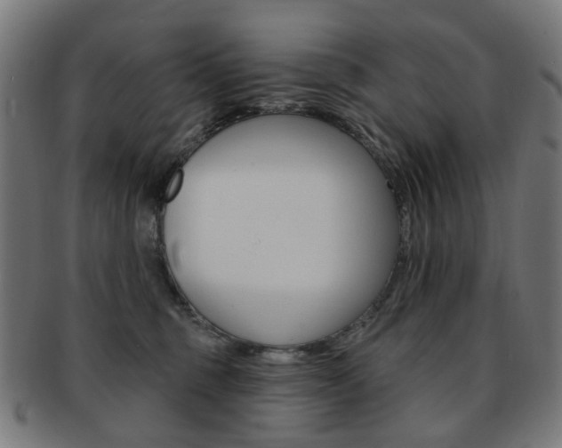X0000092030375200709061356