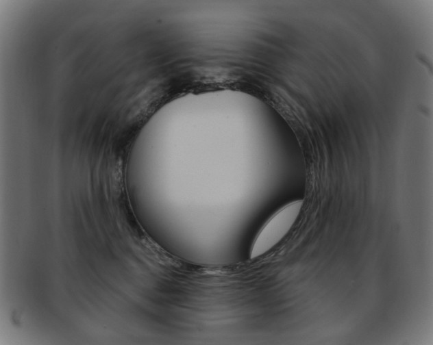 X0000092030376200709061356
