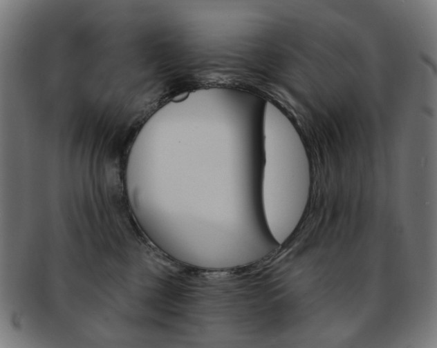 X0000092030377200709061356