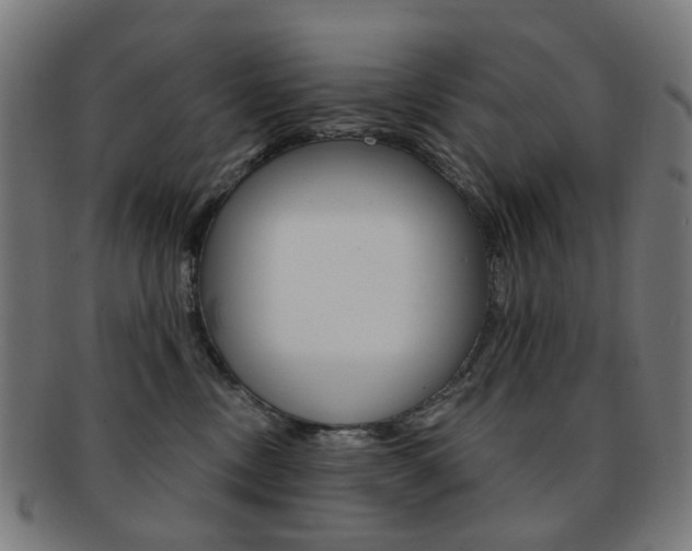 X0000092030378200709061356