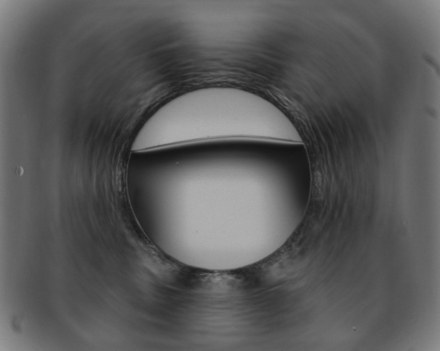 X0000092030379200709061356