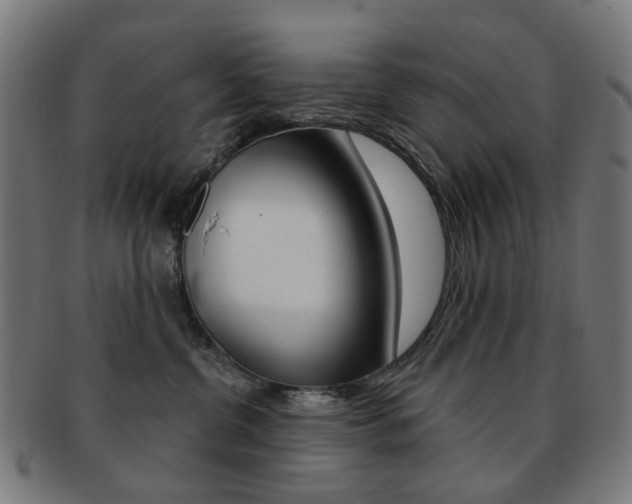 X0000092030380200709061356