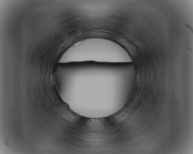 X0000092030381200709061356