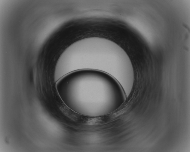 X0000092030382200709061356