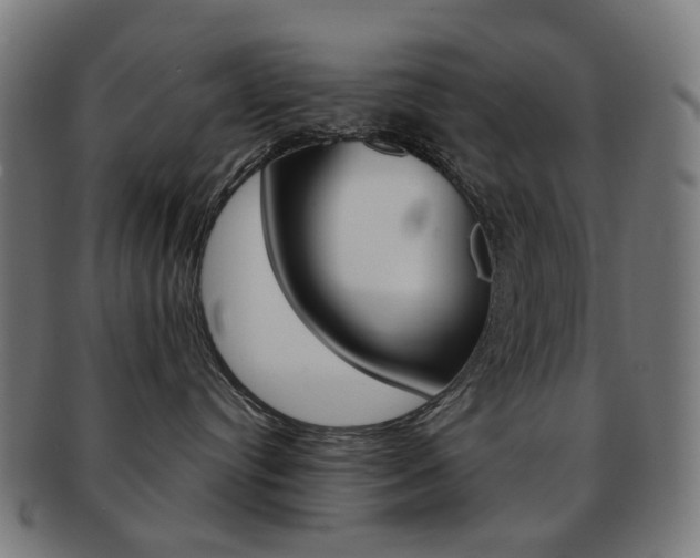X0000092030384200709061356