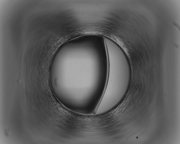 X0000092030385200709061355