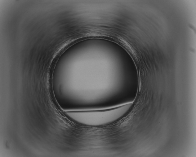 X0000092030387200709061355
